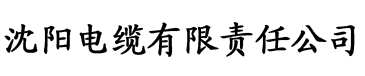 樱桃网电缆厂logo